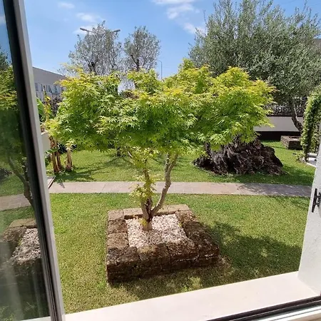 Relax Apartments Ev Apartamento *